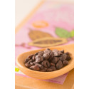Organic Cacao Nibs Sweetened with Yacon