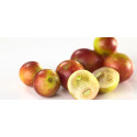 Organic Camu Camu in Capsules