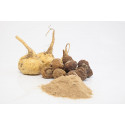 Organic Gelatinized Maca Powder (Easy to Digest)