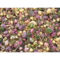 Organic Gelatinized Maca Powder (Easy to Digest)